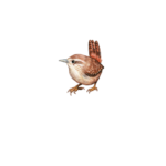 Käbliku Puhekemajad