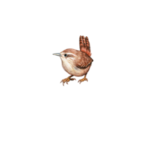Käbliku Puhekemajad
